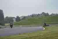 Middle Group Silver_Grey Bikes